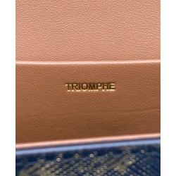 Celine Borsa A Tracolla Catena Triomphe In Tela Triomphe Caffè