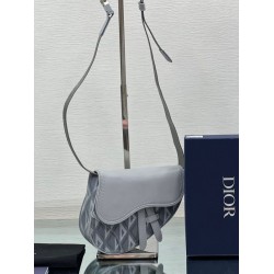 Dior Mini Saddle CD Diamond Canvas Borsa da uomo grigia Dior Mini Saddle CD Diamond Canvas Borsa da uomo grigia