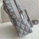 Replica Borsa a tracolla in tela Dior Mini Rider CD Diamond grigia Replica Borsa a tracolla in tela Dior Mini Rider CD Diamond grigia