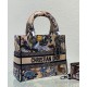 Replica Borsa Christian Dior Medium Lady D-Lite Albicocca Replica Borsa Christian Dior Medium Lady D-Lite Albicocca