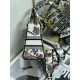 Replica Borsa Christian Dior Medium Lady D-Lite Jardin Botanique Ricamo Bianco Replica Borsa Christian Dior Medium Lady D-Lite Jardin Botanique Ricamo Bianco