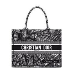 Christian Dior Medium Dior Book Tote Borsa con motivo Plan de Paris ricamato nera