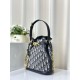 Replica Borsa Christian Dior media C'est Dior Blu Dior Oblique Jacquard Replica Borsa Christian Dior media C'est Dior Blu Dior Oblique Jacquard