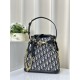 Replica Borsa Christian Dior media C'est Dior Blu Dior Oblique Jacquard Replica Borsa Christian Dior media C'est Dior Blu Dior Oblique Jacquard