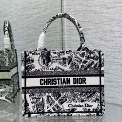 Borsa tote Dior piccola a libro Plan de Paris ricamata bianca