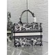 Replica Borsa tote Dior piccola a libro Plan de Paris ricamata bianca Replica Borsa tote Dior piccola a libro Plan de Paris ricamata bianca