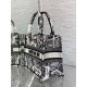 Replica Borsa tote Dior piccola a libro Plan de Paris ricamata bianca Replica Borsa tote Dior piccola a libro Plan de Paris ricamata bianca