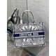 Replica Dior Dior Book Tote media Rêve d'Infini ricamo bianco/blu Replica Dior Dior Book Tote media Rêve d'Infini ricamo bianco/blu