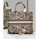 Replica Christian Dior Borsa tote grande Dior Book color albicocca Replica Christian Dior Borsa tote grande Dior Book color albicocca