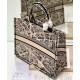 Replica Christian Dior Borsa tote grande Dior Book color albicocca Replica Christian Dior Borsa tote grande Dior Book color albicocca