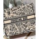 Replica Christian Dior Borsa tote grande Dior Book color albicocca Replica Christian Dior Borsa tote grande Dior Book color albicocca