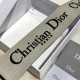 Replica Tracolla Dior Christian Dior Beige Replica Tracolla Dior Christian Dior Beige