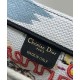 Replica Borsa media Christian Dior Book Tote senza tempo con paglia di rafia naturale e cotone ricamato