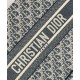 Replica Borsa media Christian Dior Book Tote crema Replica Borsa media Christian Dior Book Tote crema