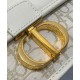 Replica Borsa Dior 30 Montaigne East-West con catena Crema