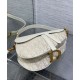 Replica Borsa Dior Saddle con tracolla Crema Replica Borsa Dior Saddle con tracolla Crema