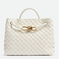 Borsa Andiamo piccola di Bottega Veneta agnello intrecciata bianca