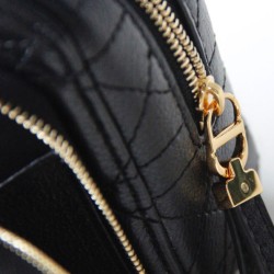 Christian Dior Caro Double Pouch