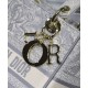 Replica Borsa Christian Dior Medium Lady D-Lite grigia Replica Borsa Christian Dior Medium Lady D-Lite grigia