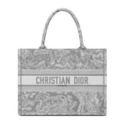 Christian Dior Borsa piccola Dior Book Tote grigia