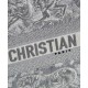 Replica Christian Dior Borsa piccola Dior Book Tote grigia Replica Christian Dior Borsa piccola Dior Book Tote grigia