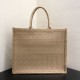 Replica Borse Christian Dior Book Tote M1286 Albicocca
