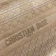 Replica Borse Christian Dior Book Tote M1286 Albicocca