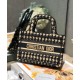 Replica Christian Dior Mini Borsa a mano con ricamo a pied de poule e crema Replica Christian Dior Mini Borsa a mano con ricamo a pied de poule e crema