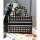 Replica Christian Dior Mini Borsa a mano con ricamo a pied de poule e crema Replica Christian Dior Mini Borsa a mano con ricamo a pied de poule e crema