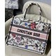 Replica Tote per libri Christian Dior piccola Dior bianca Replica Tote per libri Christian Dior piccola Dior bianca