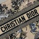 Replica Borsa tote Dior media a libro Jardin d'Hiver ricamo Beige Replica Borsa tote Dior media a libro Jardin d'Hiver ricamo Beige