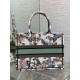 Replica Borsa tote Dior Medium Book Toile de Jouy Mexico Ricamo Bianco Replica Borsa tote Dior Medium Book Toile de Jouy Mexico Ricamo Bianco
