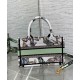Replica Christian Dior Mini Dior Book Tote Bag verde con cinturino ricamato con motivo Toile de Jouy Mexico