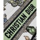 Replica Christian Dior Mini Dior Book Tote Bag verde con cinturino ricamato con motivo Toile de Jouy Mexico
