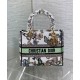 Replica Borsa Christian Dior Medium Lady D-Lite Crema con motivo Toile de Jouy Mexico bianco multicolor Replica Borsa Christian Dior Medium Lady D-Lite Crema con motivo Toile de Jouy Mexico bianco multicolor