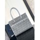 Replica Borsa tote Dior Safari CD Diamond Tela Grigia Replica Borsa tote Dior Safari CD Diamond Tela Grigia