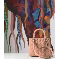 Borsa Christian Dior Lady Dior Ultra-Matte Borse Albicocca