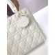 Replica Borsa Christian Dior Lady Dior Ultra-Matte White Replica Borsa Christian Dior Lady Dior Ultra-Matte White