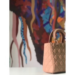 Borsa Christian Dior Lady Dior Ultra-Matte Borse Albicocca